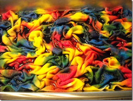 wool dyeing 012