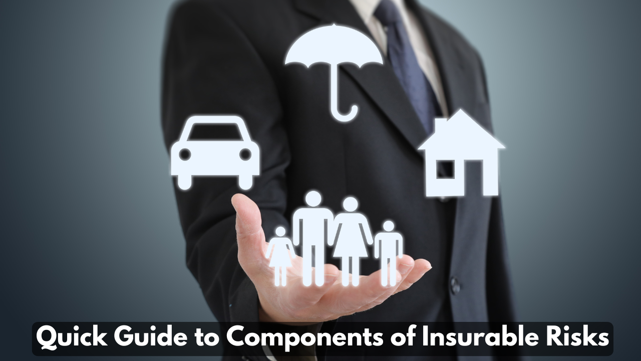 Quick Guide to Components of Insurable Risks