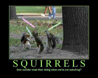 squirrels motivational poster lightsabers, squirrels lightsabers, squirrel lightsaber, motivational squirrel, ever wonder what they are doing when we are not watching, squirrel, funny pictures squirrel, funny squirrels, funny squirrel, motivational squirrels