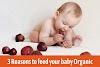 3 Reasons Why You Should Feed Your Baby Organic Baby Food