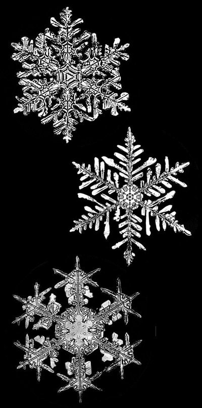snowflake bentley snowflakes