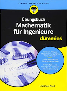 Übungsbuch Mathematik für Ingenieure für Dummies