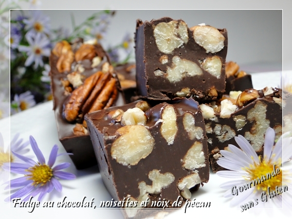 Fudge au chocolat, noix de pécan et noisettes, sans lactose, sans gluten