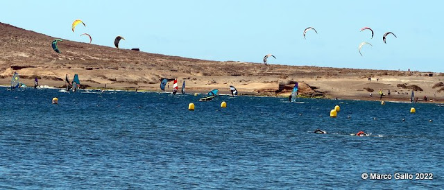 PLAYA DE EL MEDANO. Tenerife, Islas Canarias. España