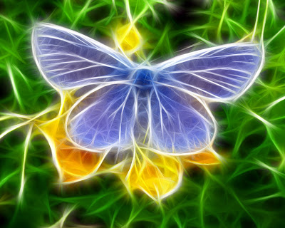 butterfly wallpaper. Cool 3D Butterfly Wallpaper