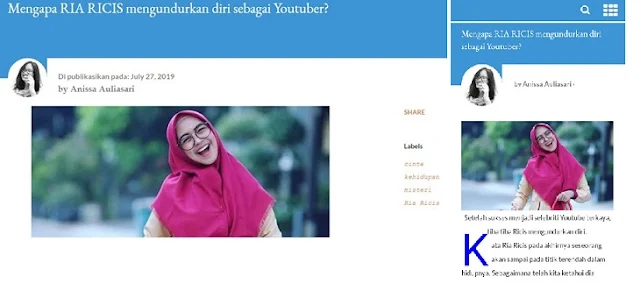 profile penulis diatas artikel