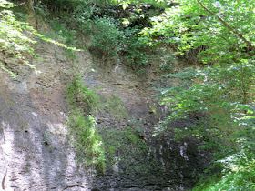 Big Oxbow Creek on the Knobstone Trail