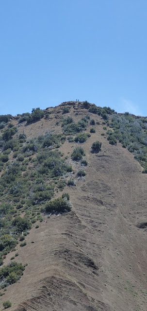 Creampuff Peak Summit