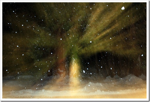 121222_snow_003