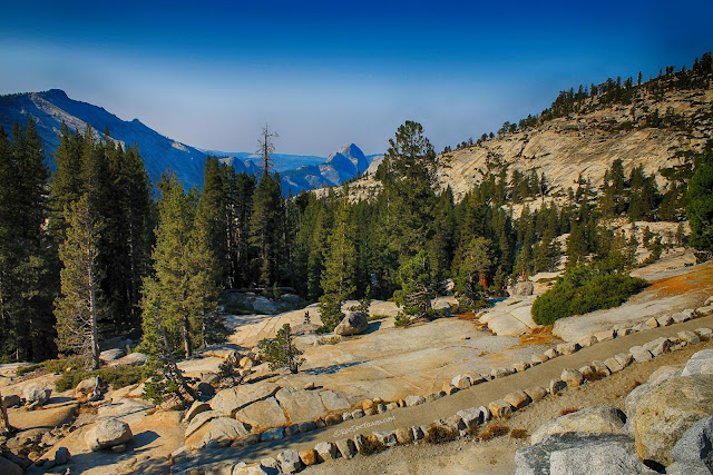 Yosemite National Park Tioga Pass geology travel field trip copyright rocdoctravel.com