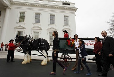 Obama Foodorama