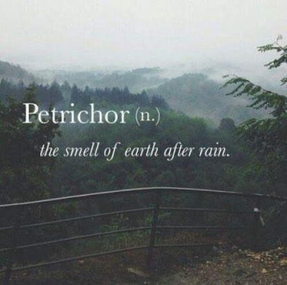 petrichor or Smell of Rain is Caused by Bacteria