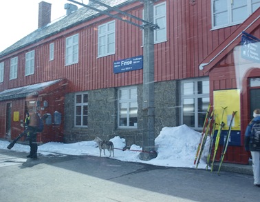 P5019630