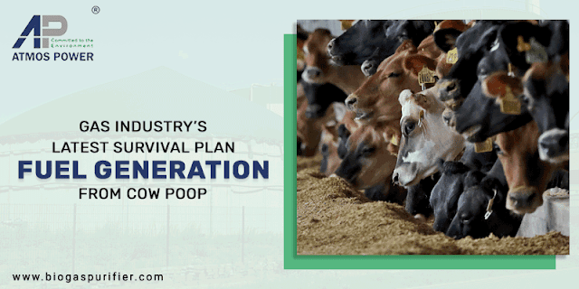 Gas Industry’s Latest Survival Plan- Fuel Generation from Cow Poop