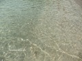 Teluk_Limau_beach_Bako_National_Park_79