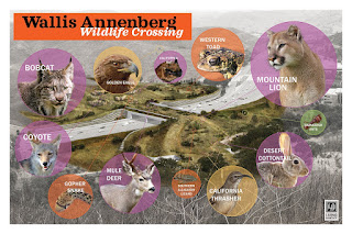 Wallis Annenberg Wildlife Crossing, Animal Advocates, Liberty Canyon, Wildlife Crossing, Los Angeles, California, Agoura Hills, groundbreaking, mountain lion, cougar, Mary Cummins, Wallis Annenberg, The Annenberg Foundation, Santa Monica Mountains Fund, California Coastal Commission, California Wildlife Conservation Board, Resource Conservation District of the Santa Monica Mountains, National Wildlife Federation, California Department of Fish & Wildlife