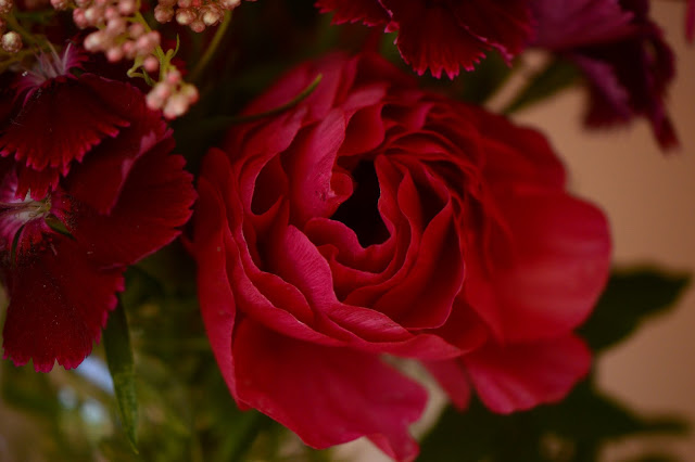 ranunculus, monday vase, ranunculus, cutflower, dianthus, small sunny garden, desert garden, amy myers