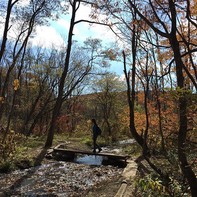 Girl crossing a river with a small wooden bridge in the middle of the forest littered with brown and fallen leaves in Togakushi, Japan