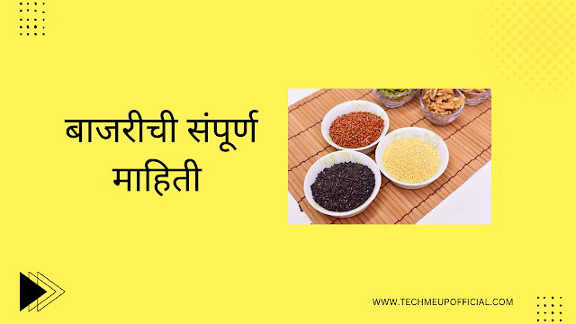 Millet Meaning in Marathi