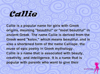 meaning of the name "Callie"