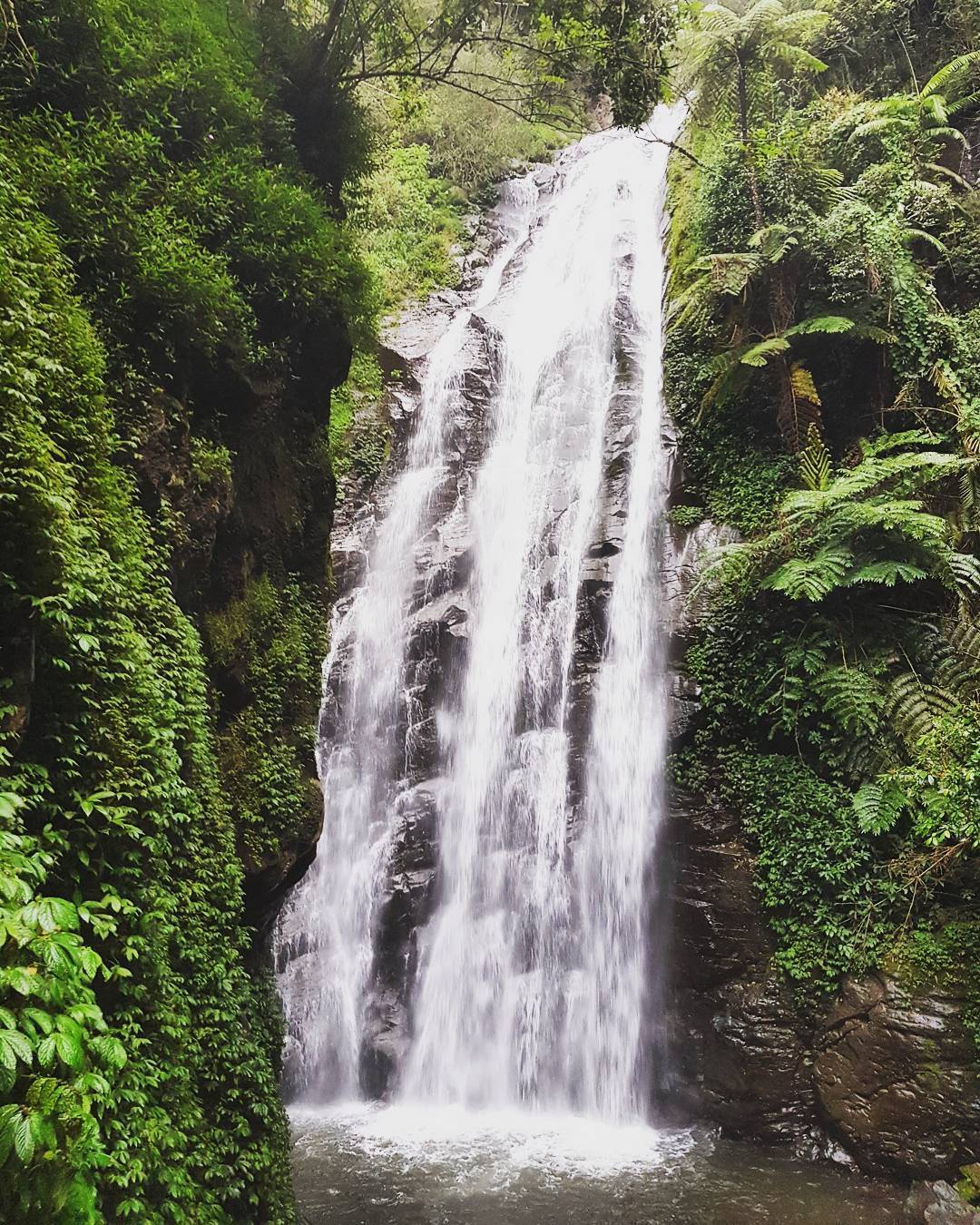 55 Tempat Wisata Alam Air Terjun Curug Danau Situ Pemandian Air