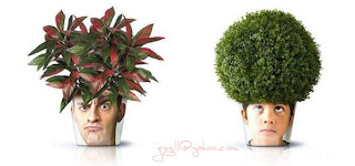 Creative Plant Pots :: 5g@F