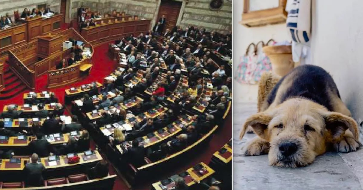 Greek Parliament Passes Law Sentencing Animal Abusers To Up To 10 Years In Prison