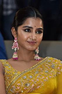 Anupama Parameswaran at Karthikeya 2 Movie Success Meet