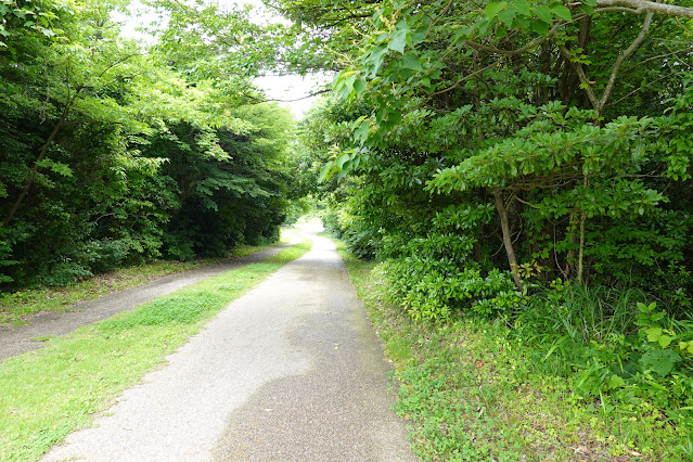 鳥取県西伯郡大山町妻木 鳥取県立むきばんだ史跡公園 弥生の森遊歩道