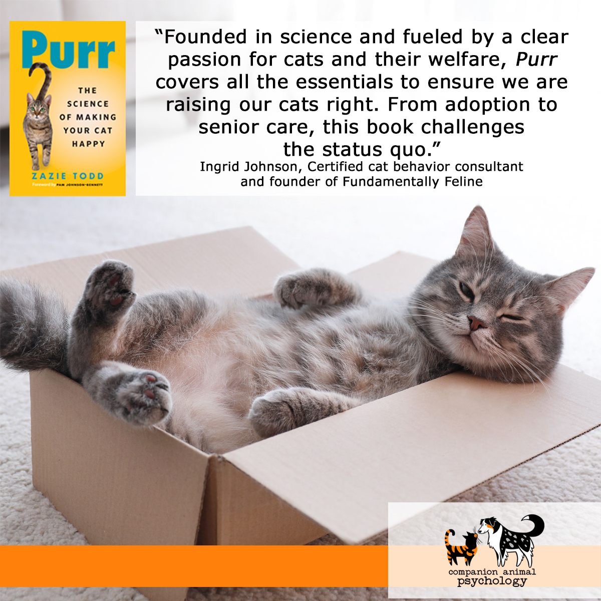 Purr: The Science of Making Your Cat Happy