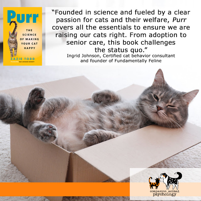 A comic tabby cat lies on his back in a cardboard box, with a copy of Purr above. The text is quoted above.