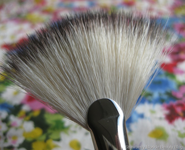 Japonesque Fan Brush (2)