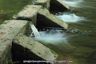 Sant Joan les Fonts