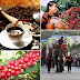 Tổ chức Ngày cà phê Việt Nam