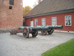 DSCN0548