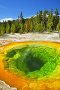 Yellowstone, el bosque del Oso Yogi (yellowstone)