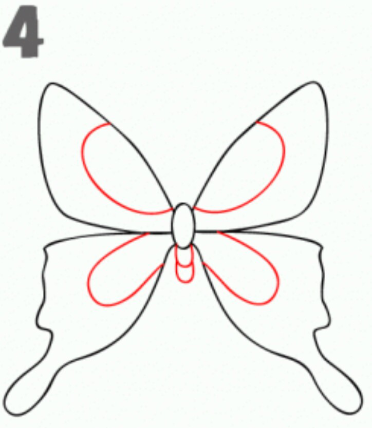  Menggambar sketsa kupu kupu INFOZANI