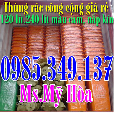 Thung-rac-120-lit