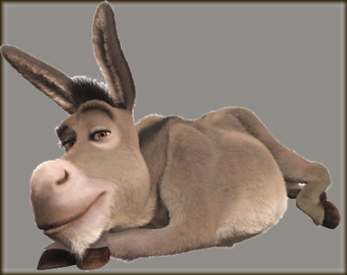 burro2ml9