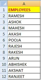 How to Make Custom List in Excel in Hindi