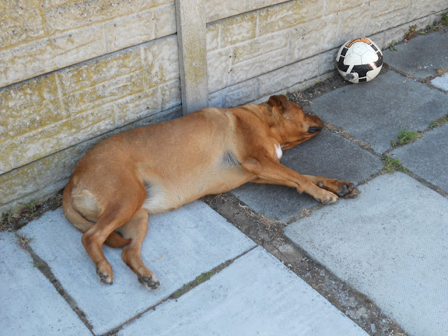 me sleeping on the patio