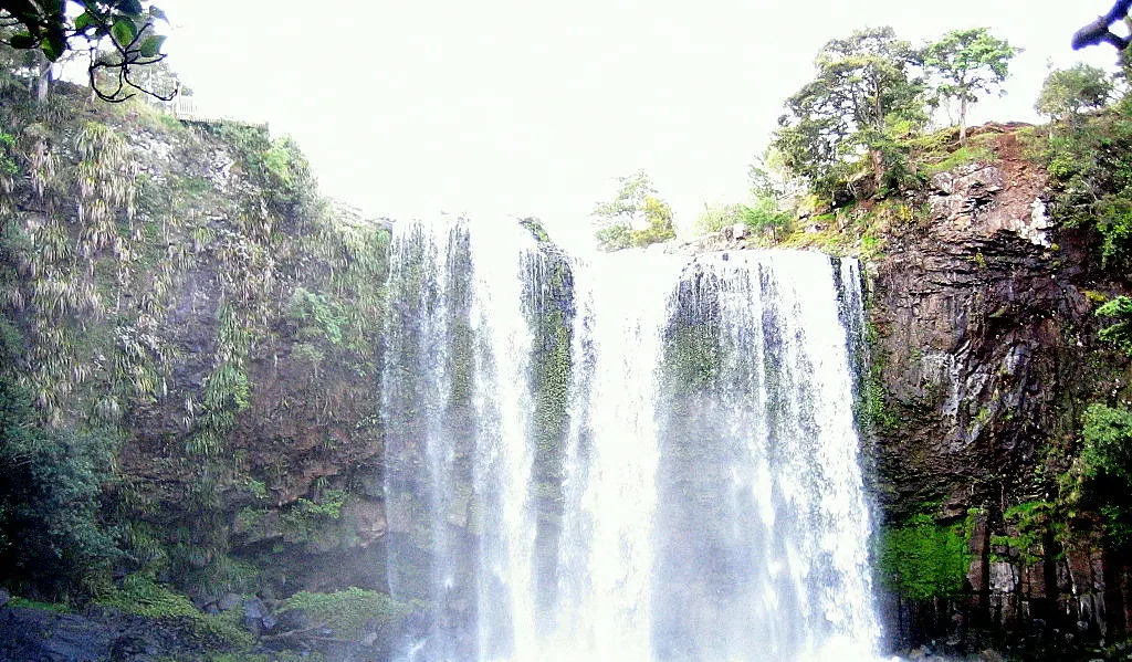 Whangarei Falls Tikipunga