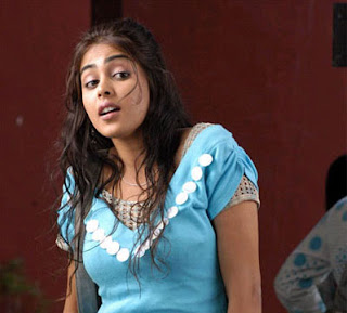 04genelia hot kollywood actress pictures21012009