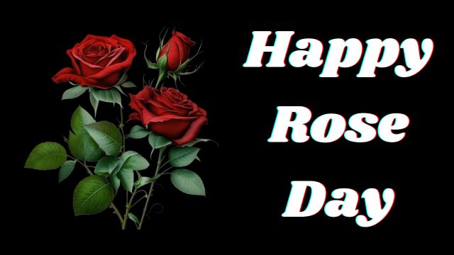 Rose Day Images