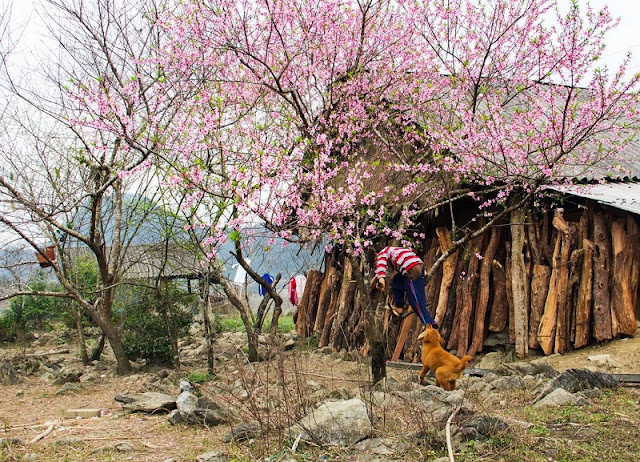 Impressive Moments Of Spring Vietnam 10