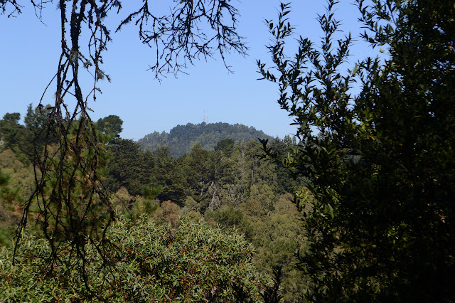 Round Top with the pair of antennas