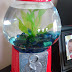 Gumball fish tank