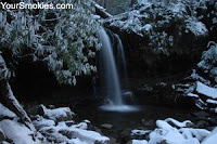 In January the wildlife in the Smokies can be a little harder to find