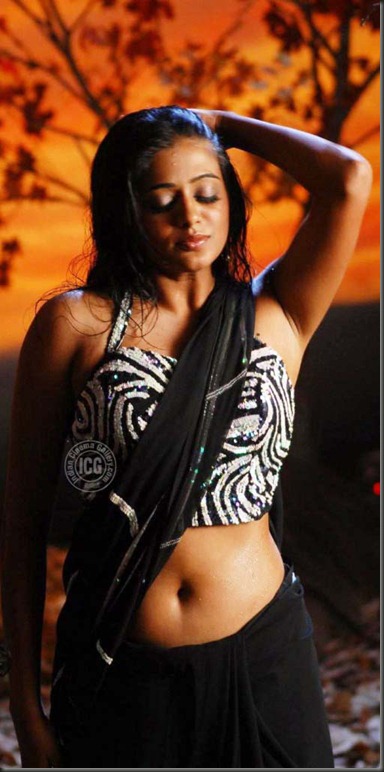 Actress Priyamani Gallery ~ Cinindya | Priyamani jyothirmayi hot navel    