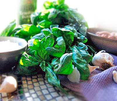 Basil Pesto Recipe